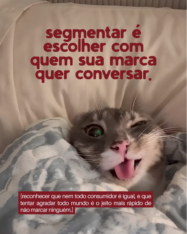 segmentar é escolher com quem sua marca quer conversar