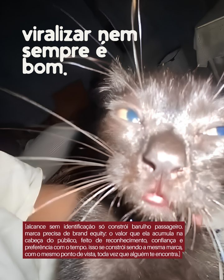 viralizar nem sempre é bom